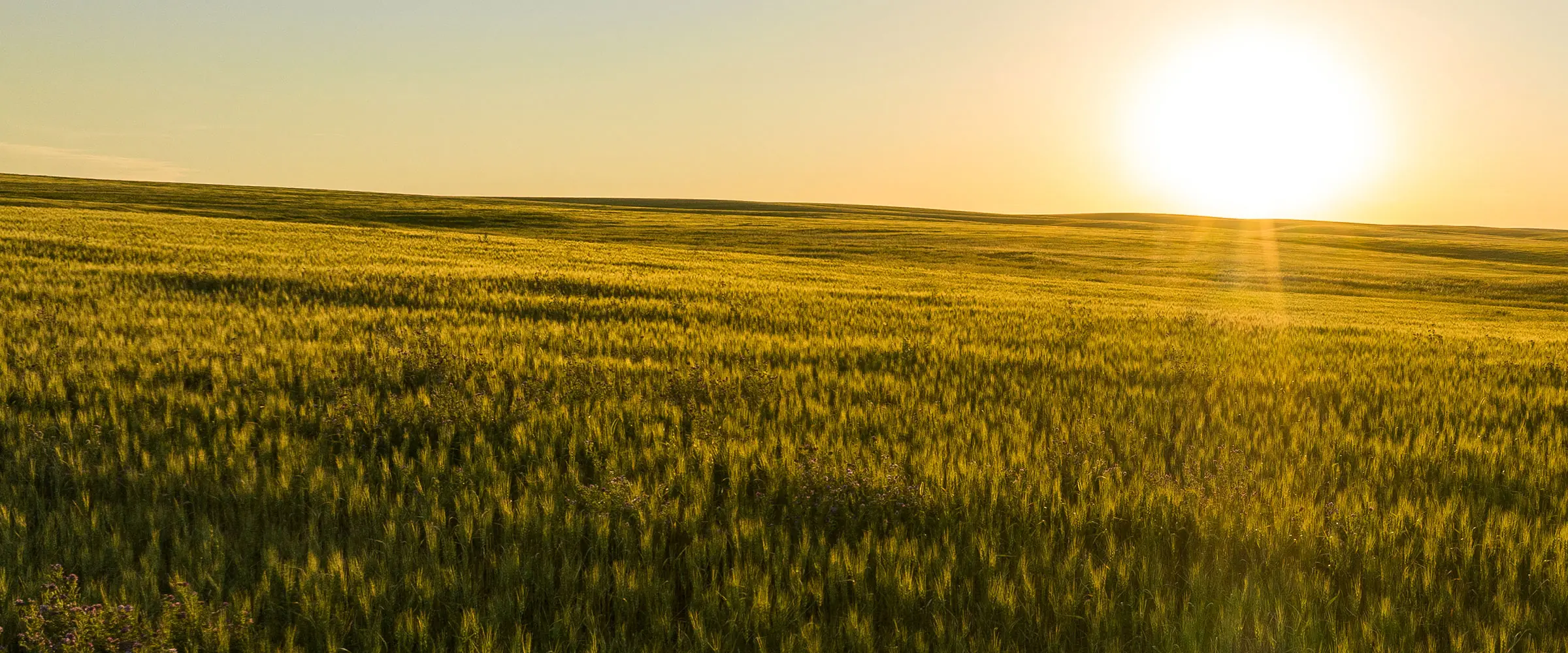 Farmland